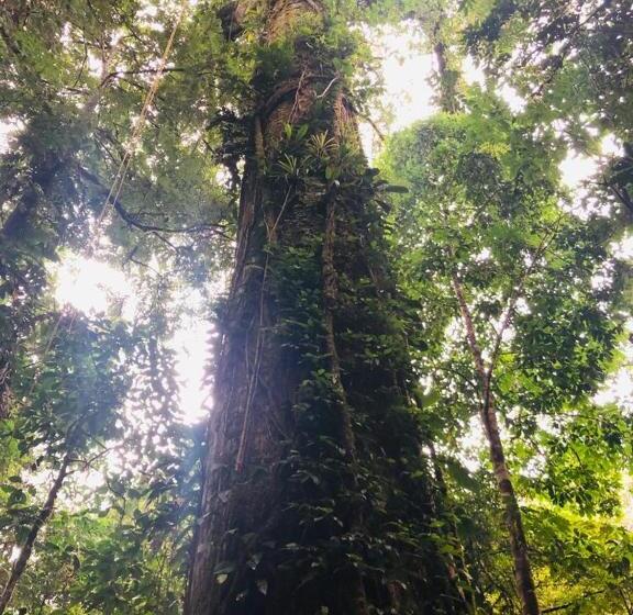 酒店 Paraiso Escondido