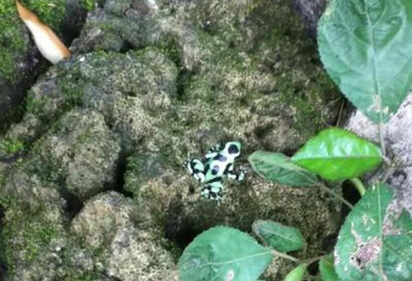 ペンション Brigitte S Ranch