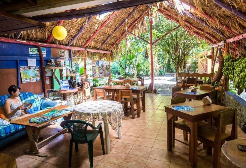 פנסיון Brigitte S Ranch