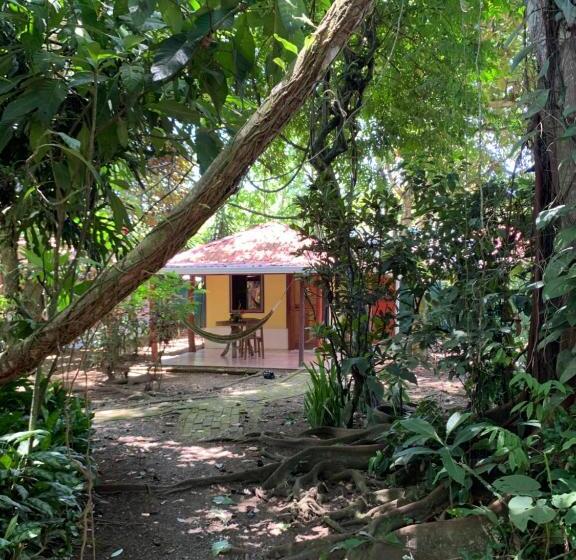 פנסיון Brigitte S Ranch