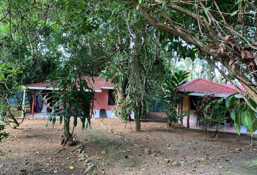 פנסיון Brigitte S Ranch