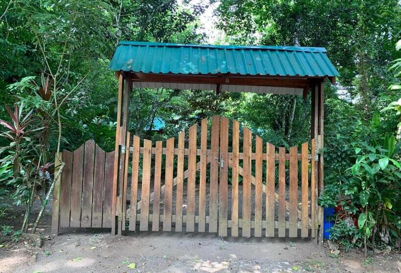 פנסיון Brigitte S Ranch