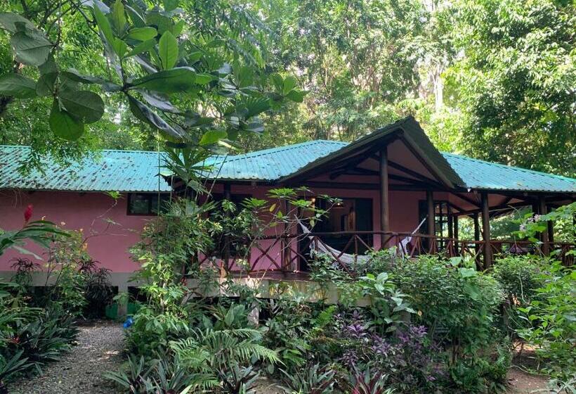 ペンション Brigitte S Ranch