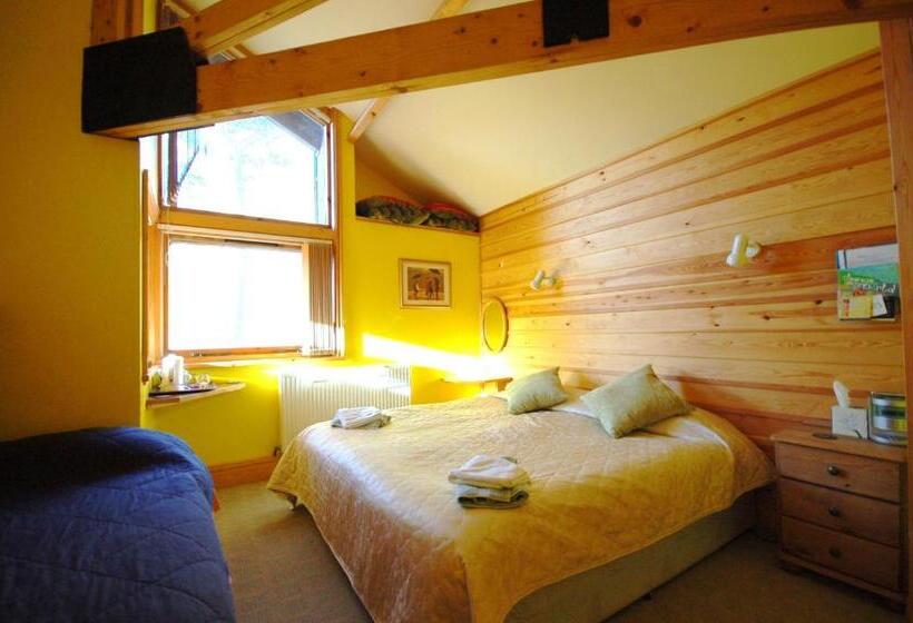 פנסיון Bryn Elltyd Eco House