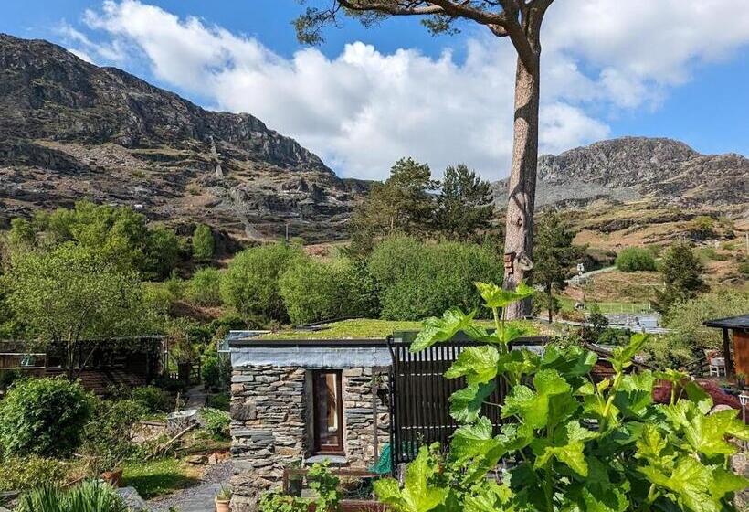 פנסיון Bryn Elltyd Eco House