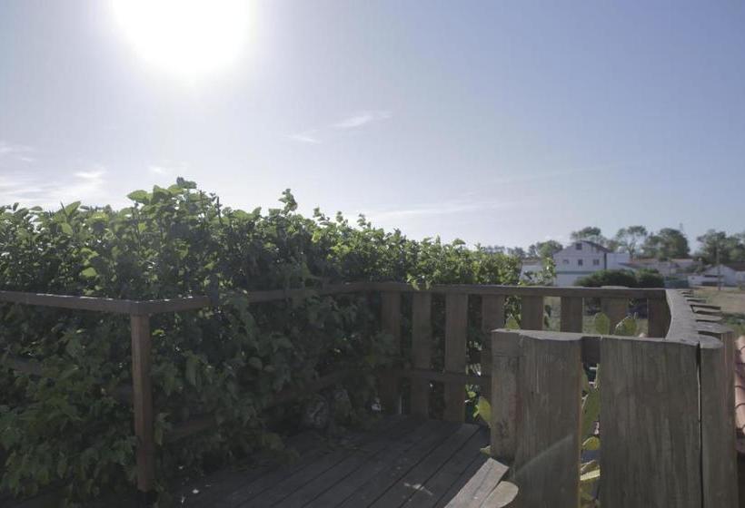 펜션 Casa Da Mata Surfhouse