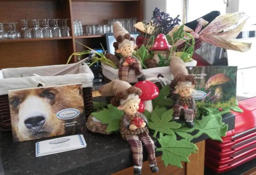 بنسيون Chata Pod čertovicou