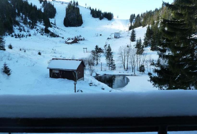 بنسيون Chata Pod čertovicou