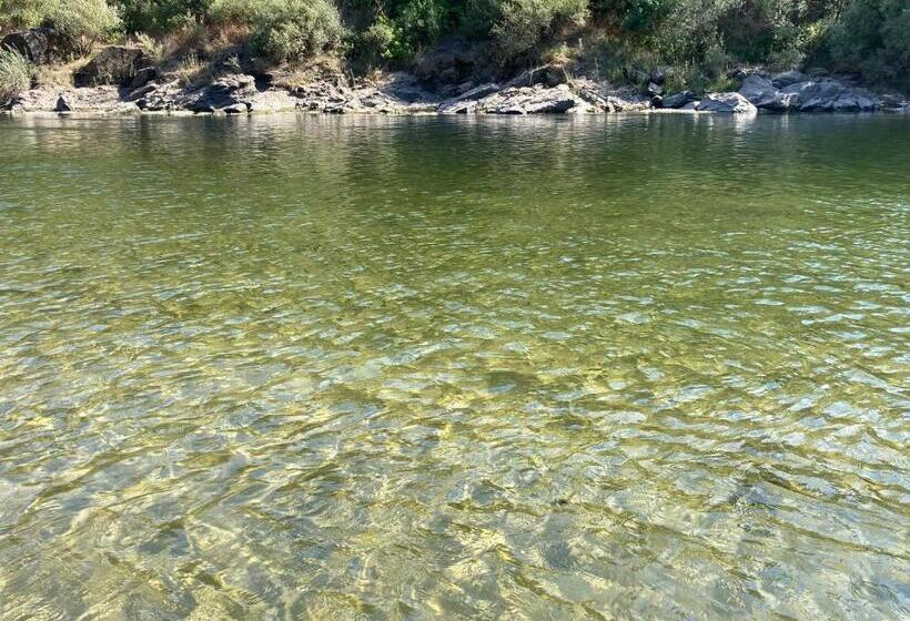 بنسيون Constância Guest House