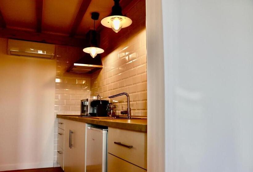 بنسيون Constância Guest House