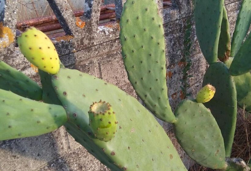 펜션 Elodie S Country House