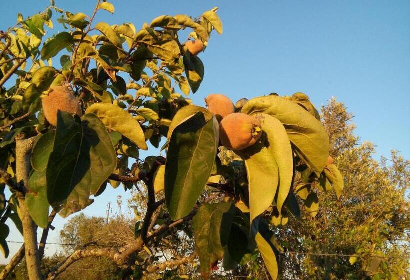 펜션 Elodie S Country House