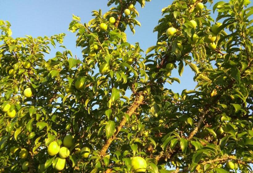 펜션 Elodie S Country House