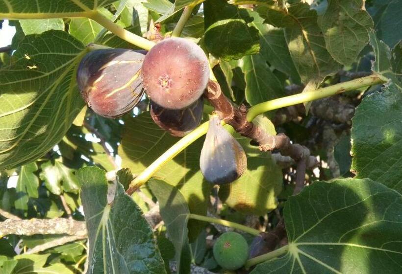 펜션 Elodie S Country House