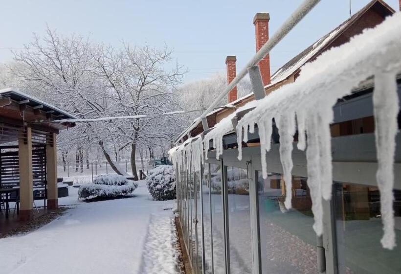 膳宿费 Green Corner Wellness