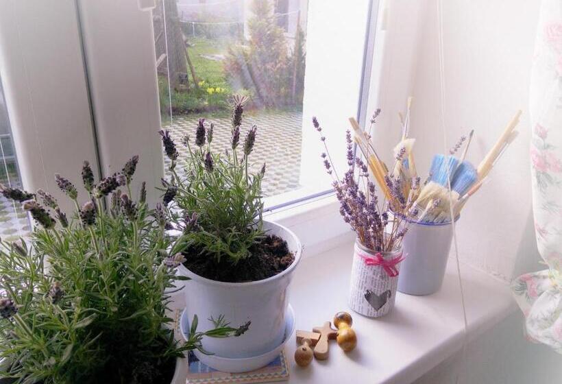 بنسيون Penzión Belvia