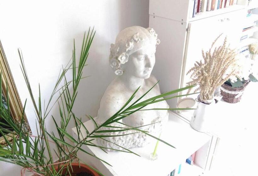 بنسيون Penzión Belvia