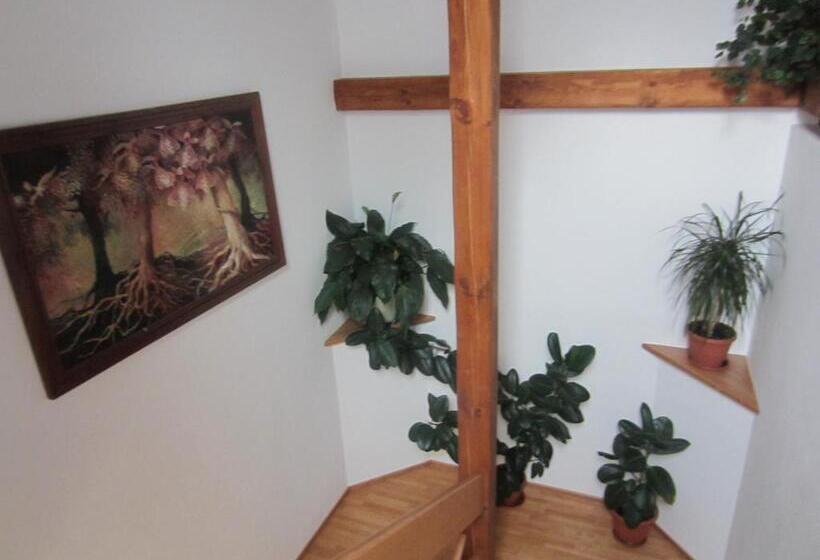 بنسيون Penzión Drieňovkou