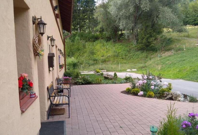 بنسيون Penzión Drieňovkou