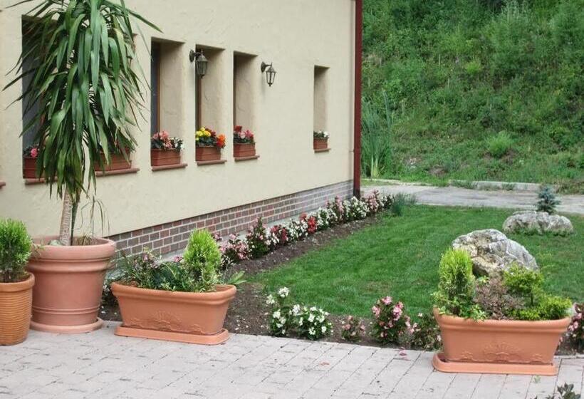 بنسيون Penzión Drieňovkou