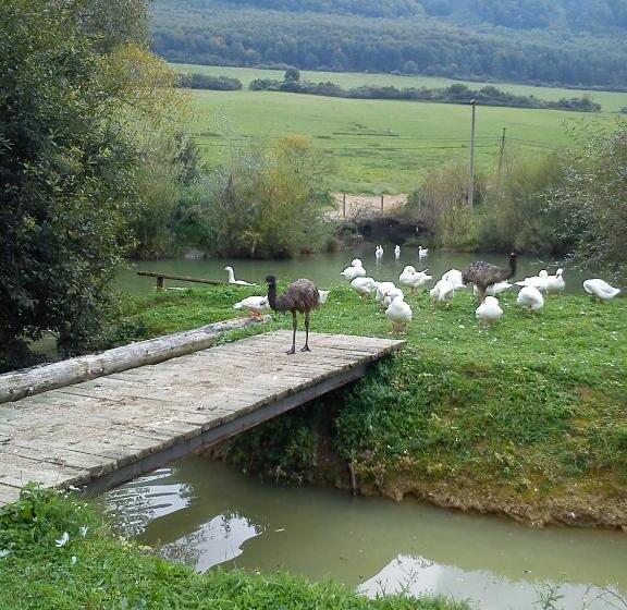 بنسيون Penzión Drieňovkou