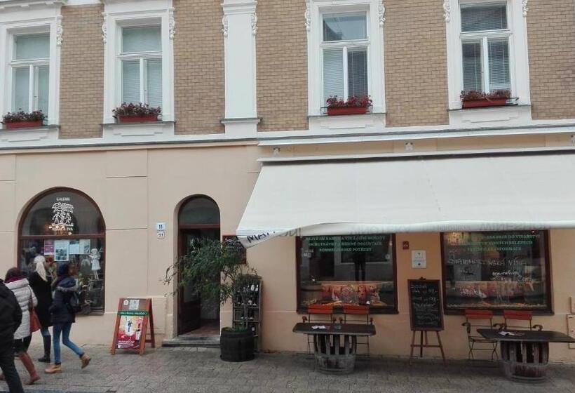 ペンション Penzion Na Náměstí