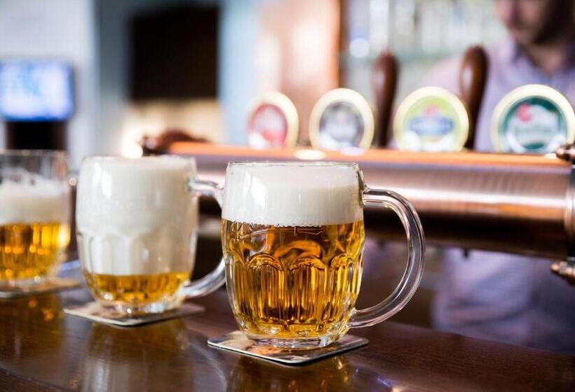 بنسيون Penzion Troja