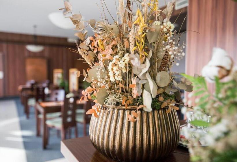 بنسيون Penzion Troja