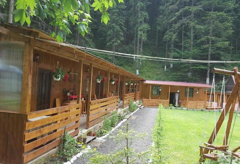 بنسيون Casa Vrânceană