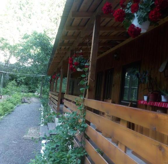 بنسيون Casa Vrânceană