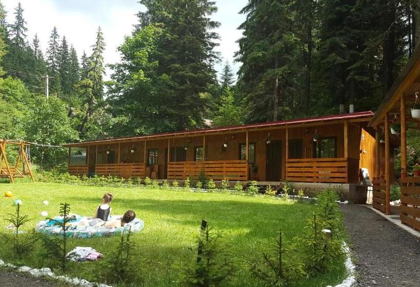 بنسيون Casa Vrânceană