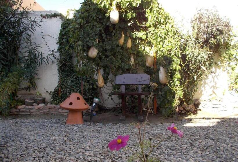 هاستل Divina Presencia