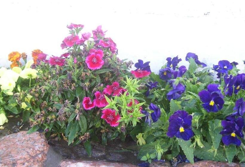 旅馆 Divina Presencia