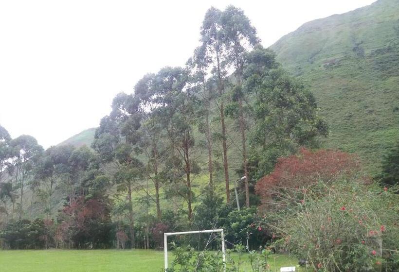 هاستل Hostería La Eterna Primavera