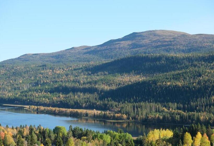 هاستل Pensionat Mullfjället