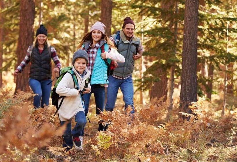 Общежитие The La Grande Inn