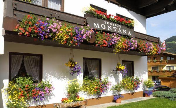 Bed and Breakfast Pension Montana