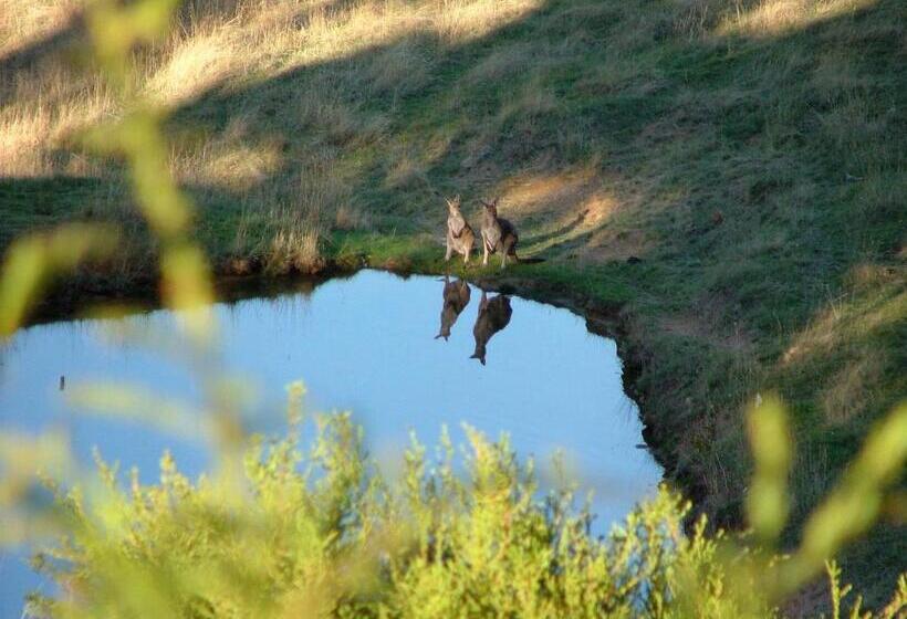 تختخواب و صبحانه Seascape Retreat