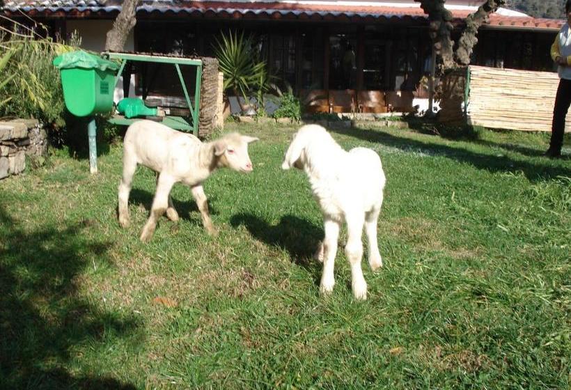 فندق Agriturismo La Vecchia Dolceacqua