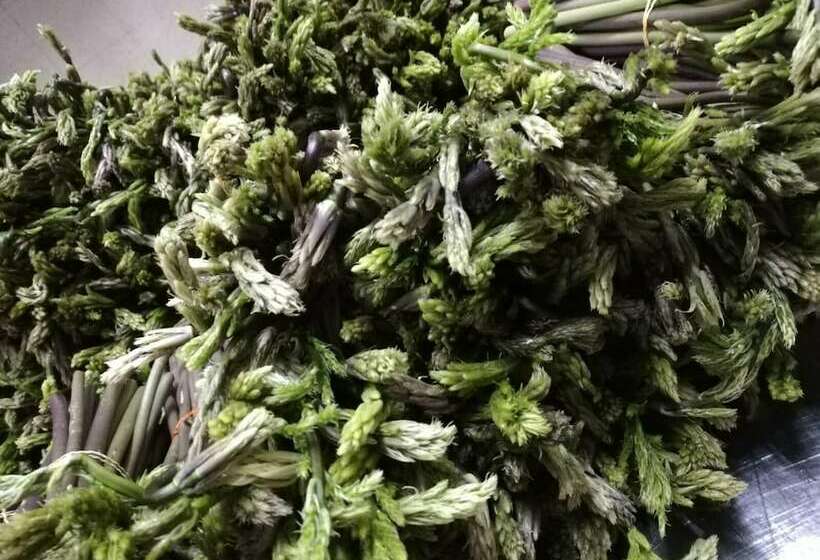 בית מלון כפרי Agriturismo La Vedetta Dei Nebrodi