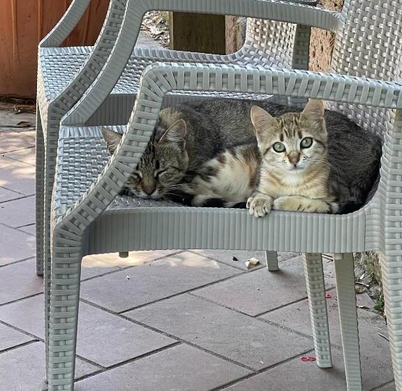 هتل Agriturismo Pietramora