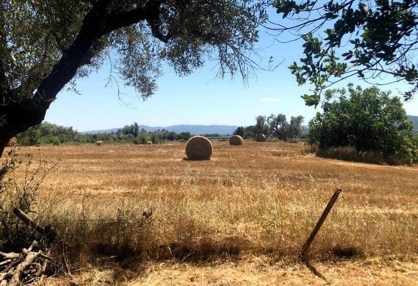 هتل Agriturismo Pietramora