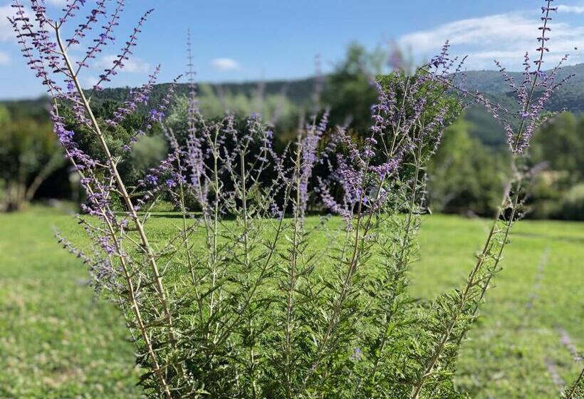 בית מלון כפרי Agriturismo Santa Lorica