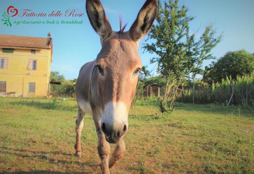 בית מלון כפרי Fattoria Delle Rose