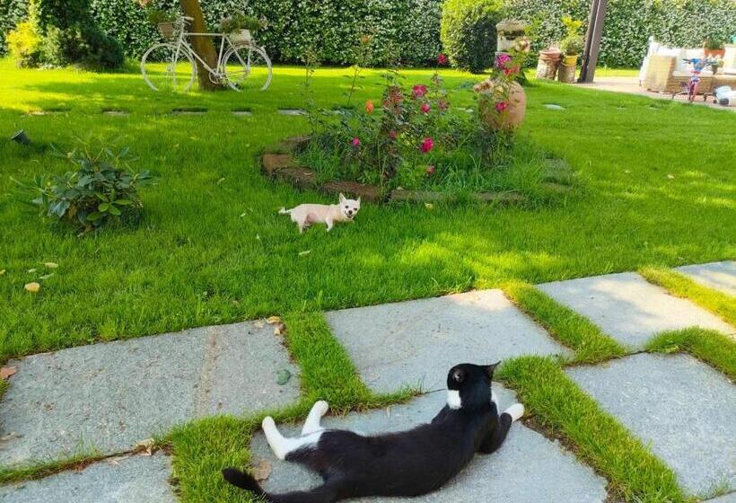 בית מלון כפרי Villa Albina