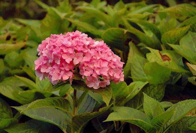 بنسيون Agroturismo Ibarre