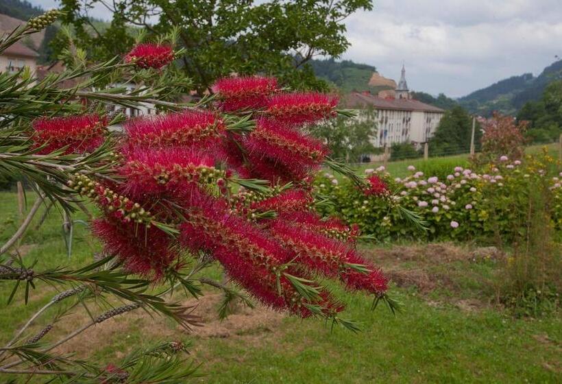 بنسيون Agroturismo Ibarre