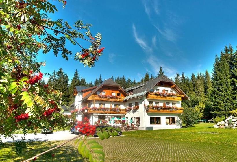 بنسيون Alpengasthof Fichtenheim