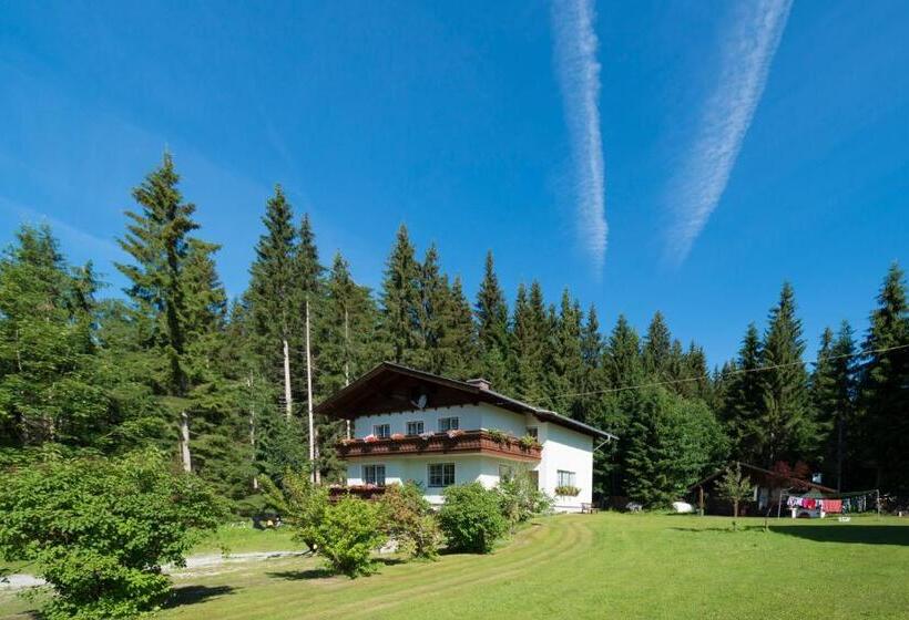 بنسيون Alpengasthof Fichtenheim