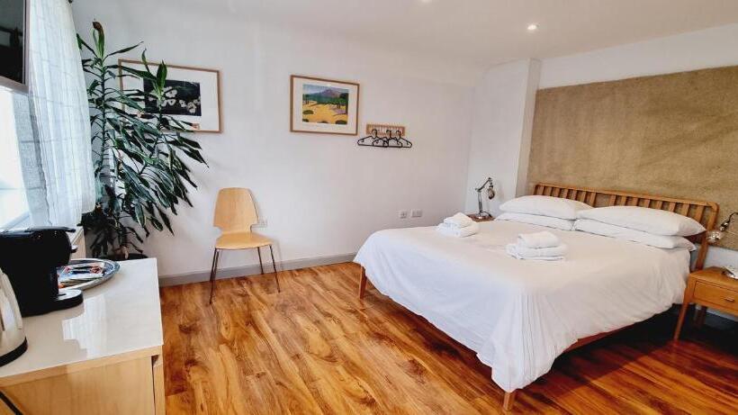 펜션 B   Simply Rooms